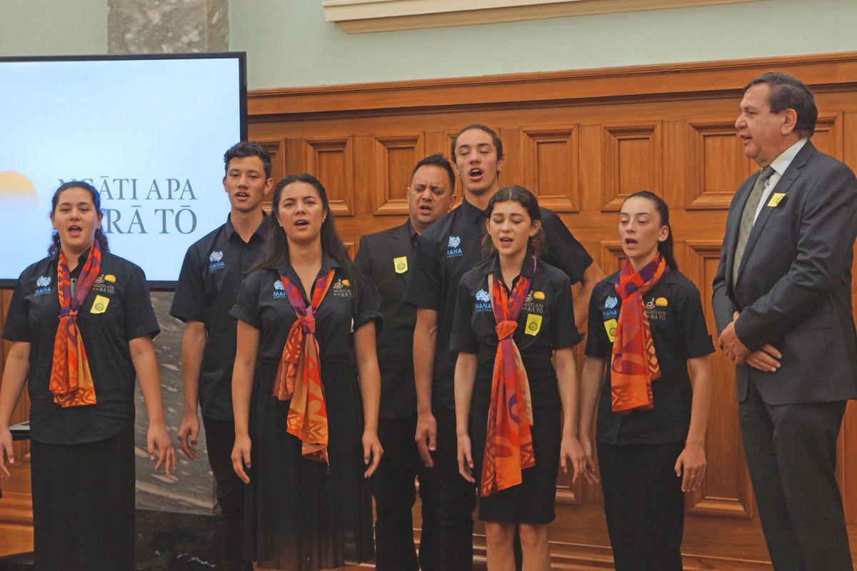 Ngāti Apa ki te Rā Tō to get lakes and springs returned