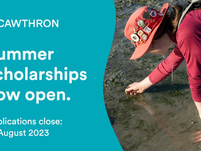 Cawthron Summer Scholarship