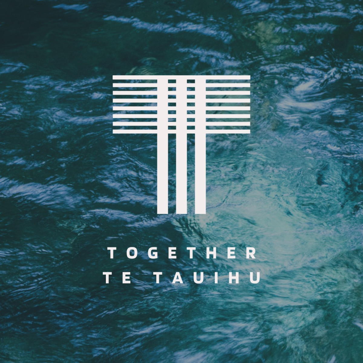 Te Tauihu, councils sign historic partnership agreement 