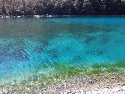 Blue Lake a New Zealand treasure