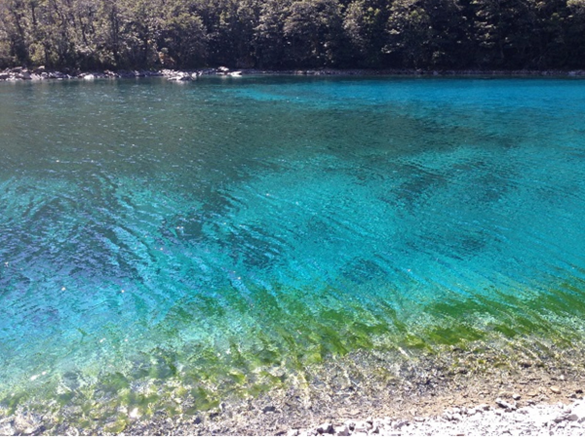 Blue Lake a New Zealand treasure