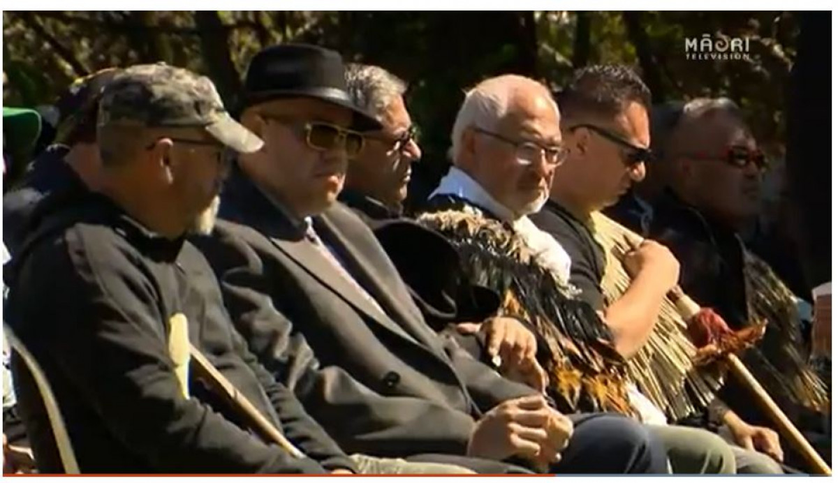 Tuia 250 honours prominent tūpuna during voyage to Marlborough