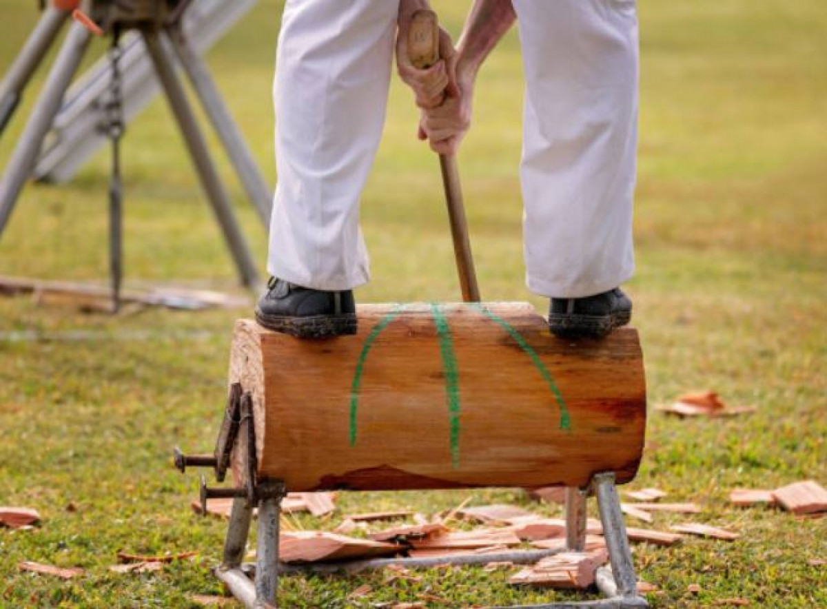 Woodchopping champs