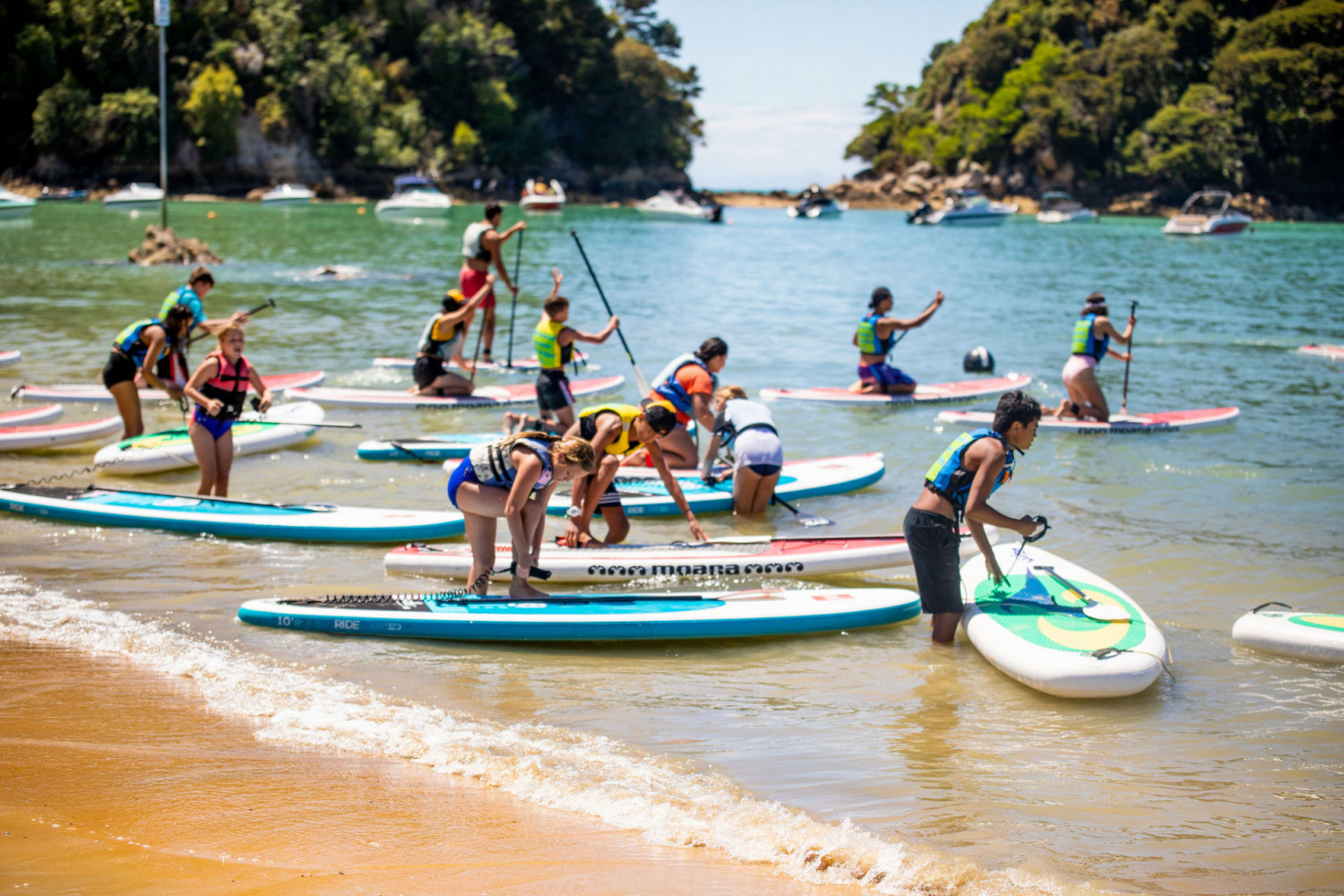 Kaiteriteri 533
