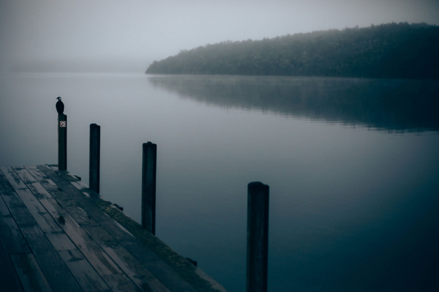 LakeVisit 8