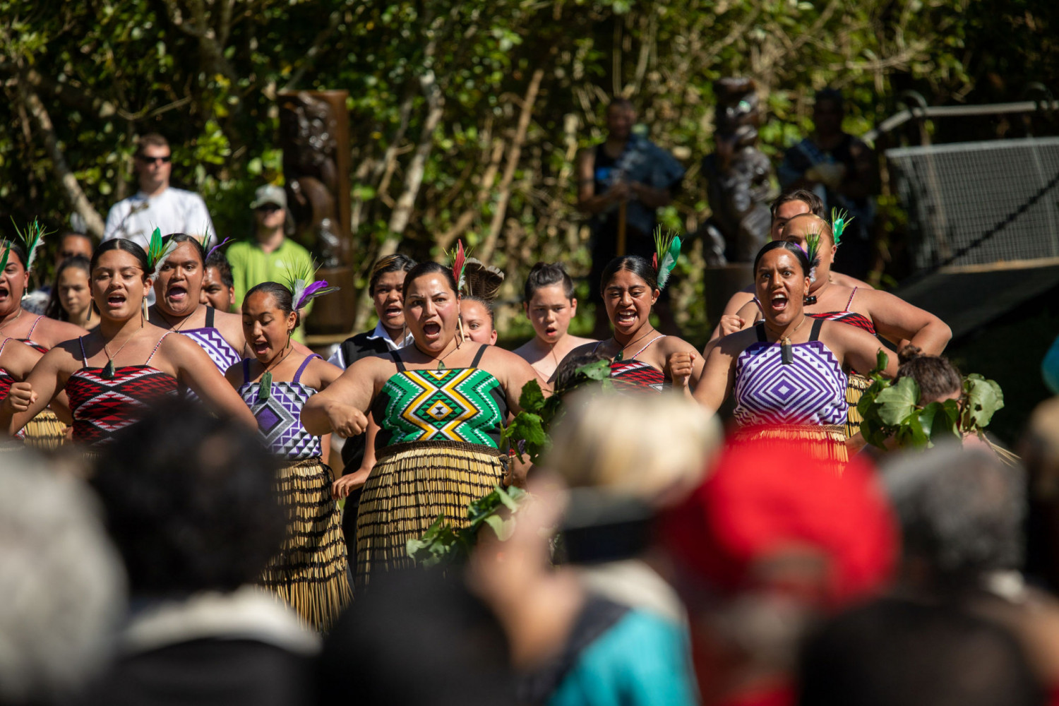 NGATIAPATOTARANUI250197839