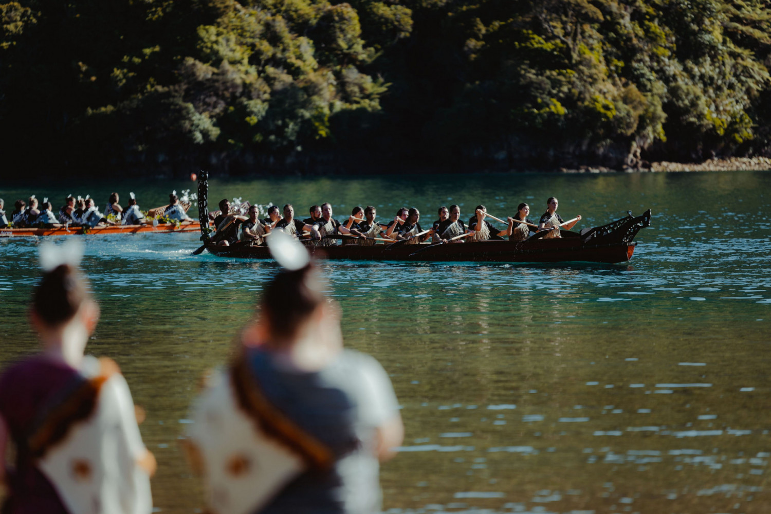 NGATIAPATOTARANUI250199712