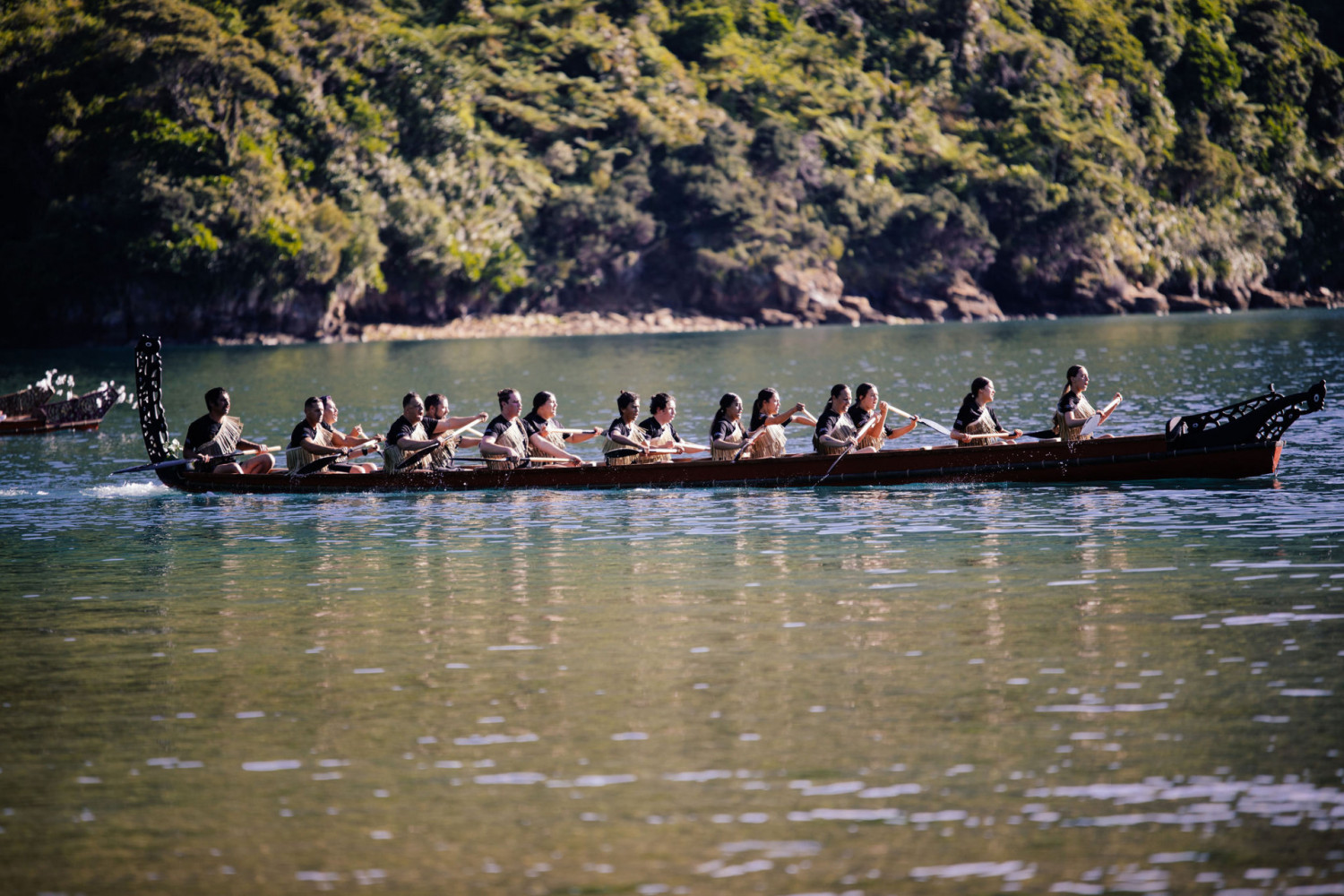 NGATIAPATOTARANUI250199720