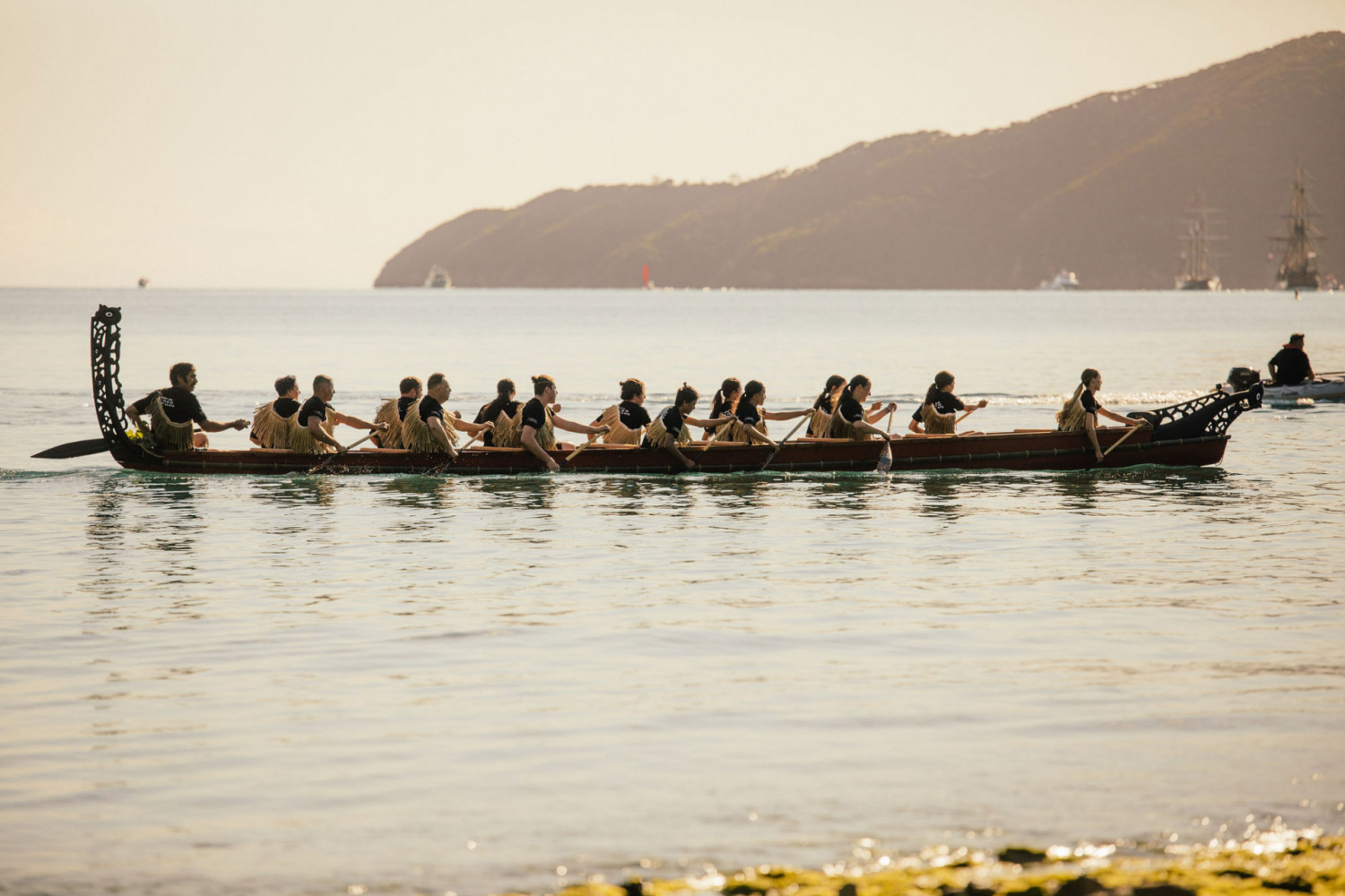 NGATIAPATOTARANUI250199746