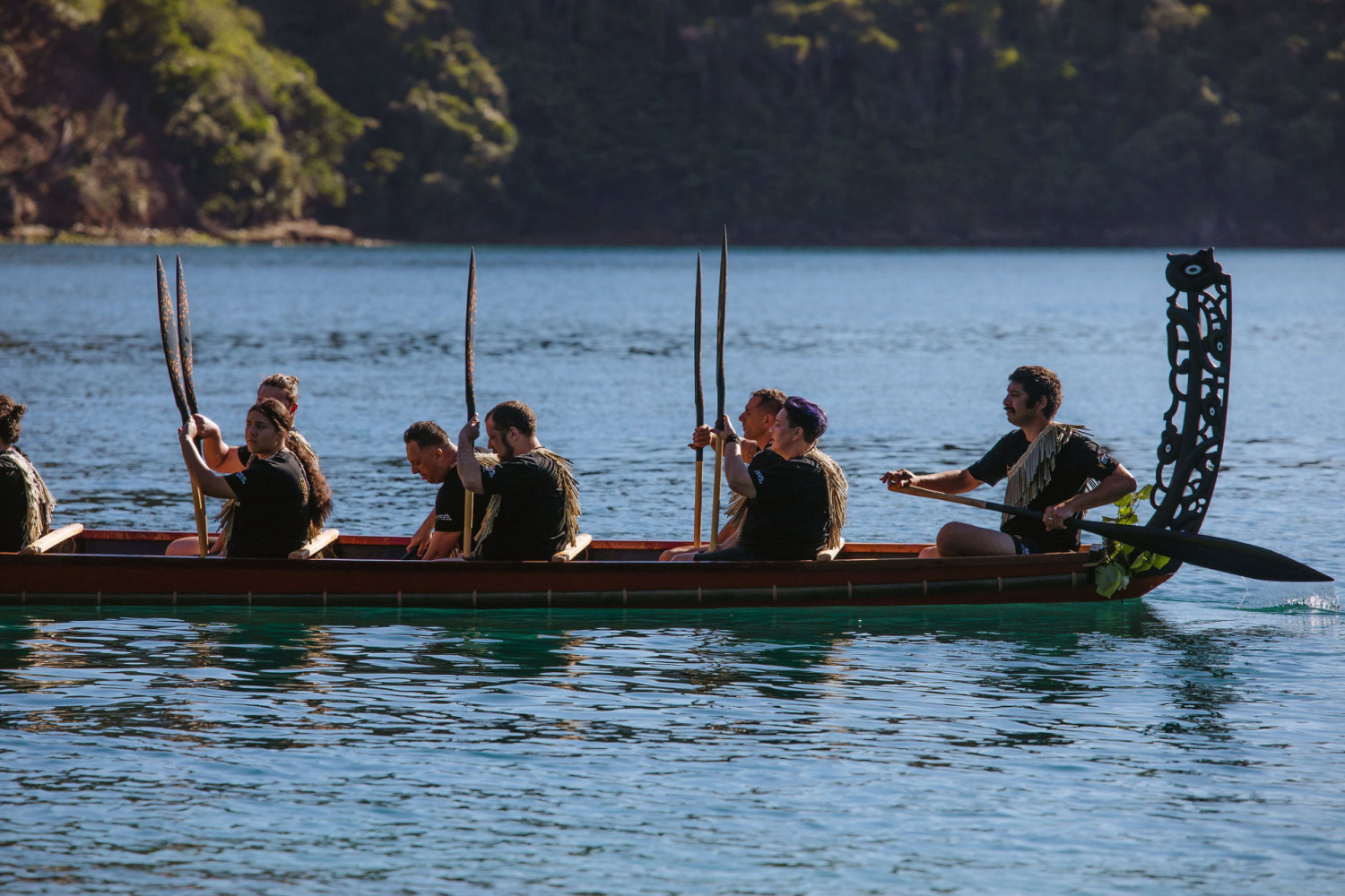 NGATIAPATOTARANUI250200152