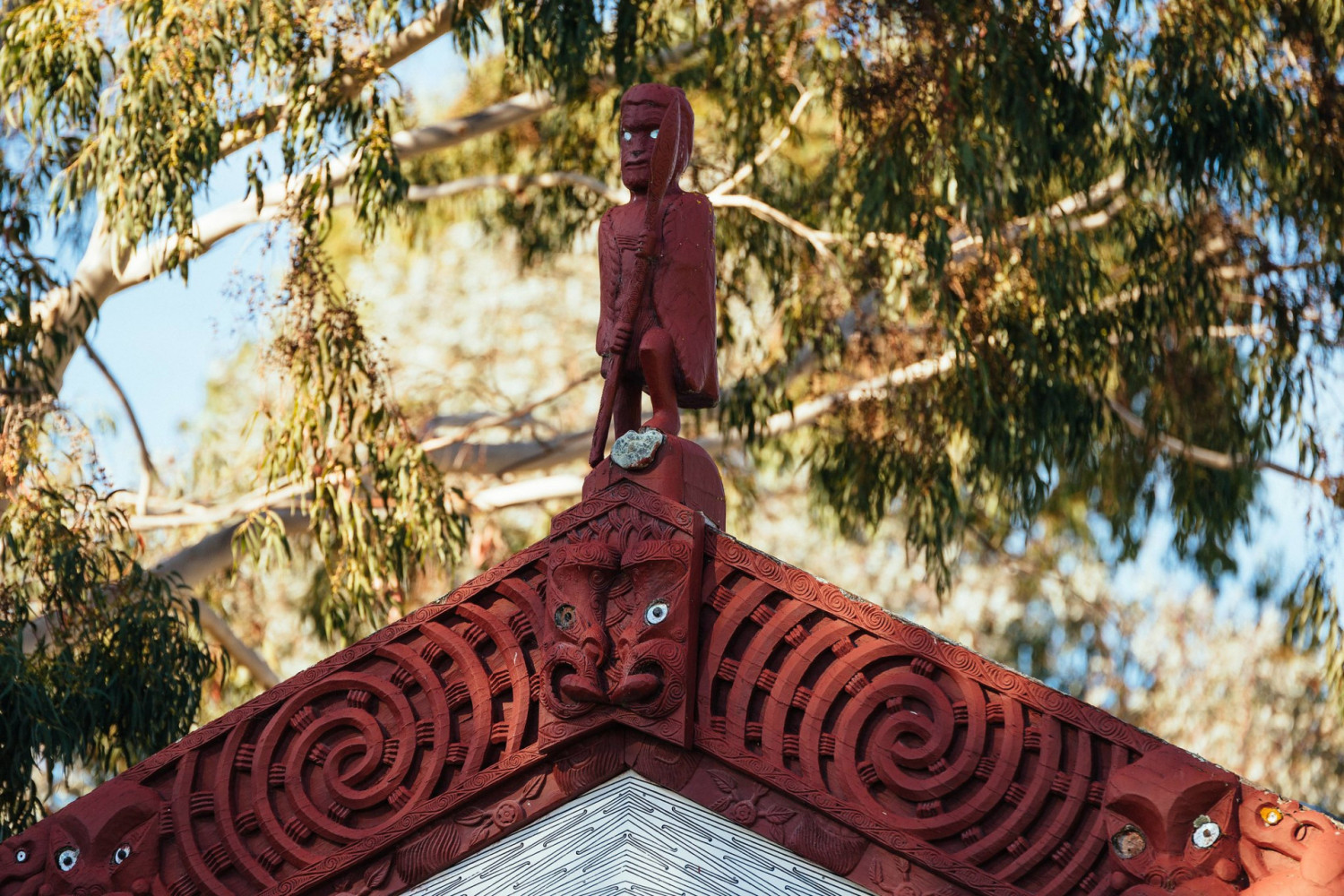 NgatiApakiteRaTo 0004