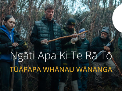 Tūapapa Wānanga Series
