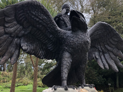 Taking flight in Karamea